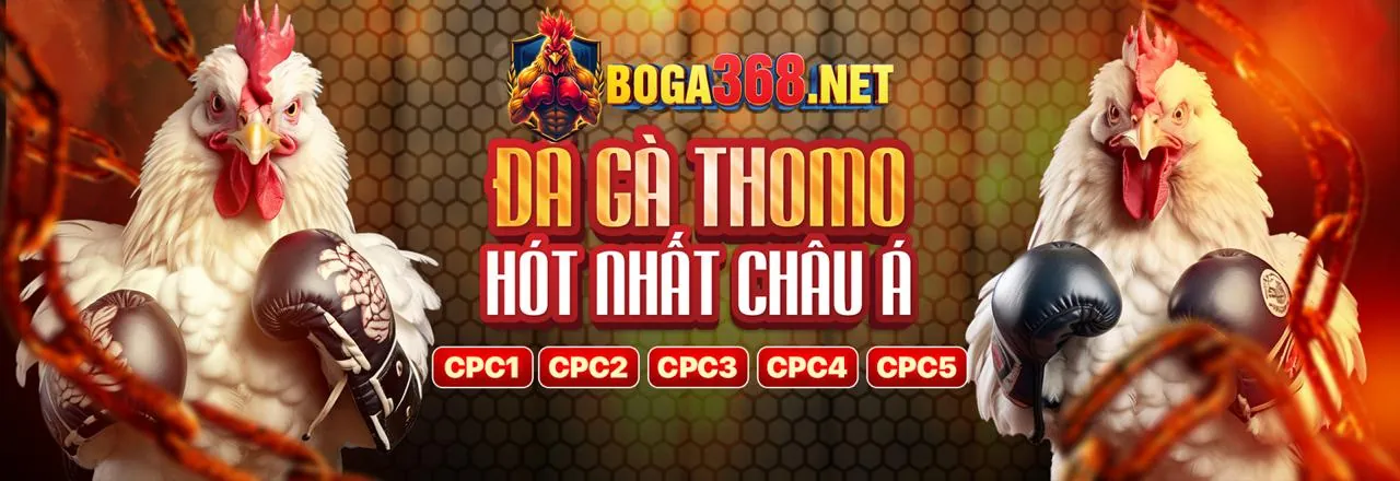 Chiến Lược Cá Cược Thể Thao Hiệu Quả tại BL55